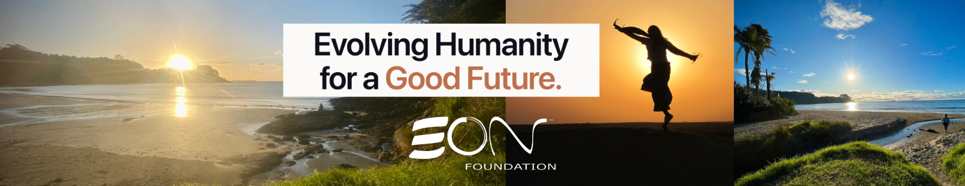 EON Foundation banner
